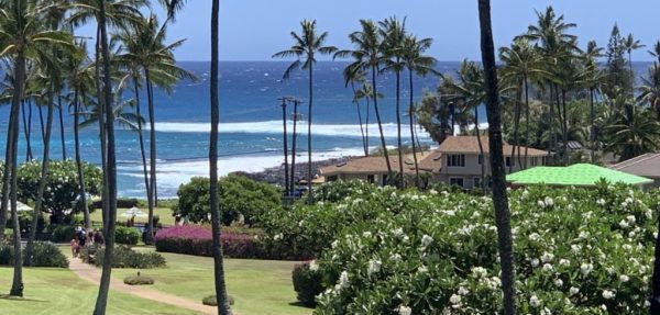 The view from Kahala