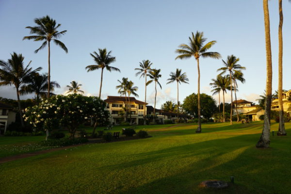 Kahala buildings