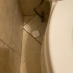 Leak detector by toilet